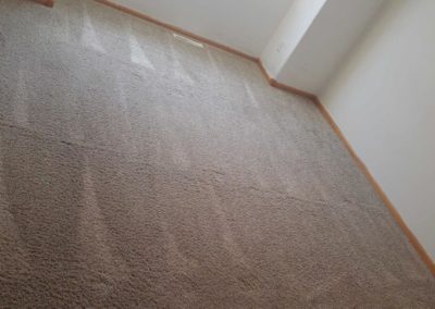 Clean Carpet Apartment 3 - Father & Sons - Fargo, ND