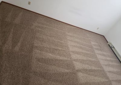 Clean Carpet Apartment 2 - Father & Sons - Fargo, ND