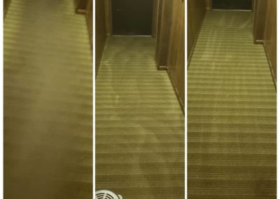Clean Carpet Apartment - Father & Sons - Fargo, ND