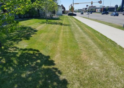 lawn mowing yard 2 - Father & Sons - Fargo, ND