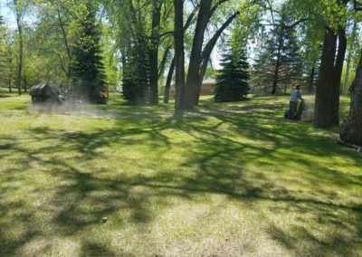 lawn mowing yard - Father & Sons - Fargo, ND